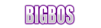 Logo BIGBOS